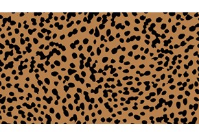 Sahara Cheetah Print Zoom Background