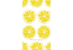 Lemon slices standard wallpaper
