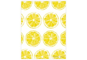 Lemon Slices Printable